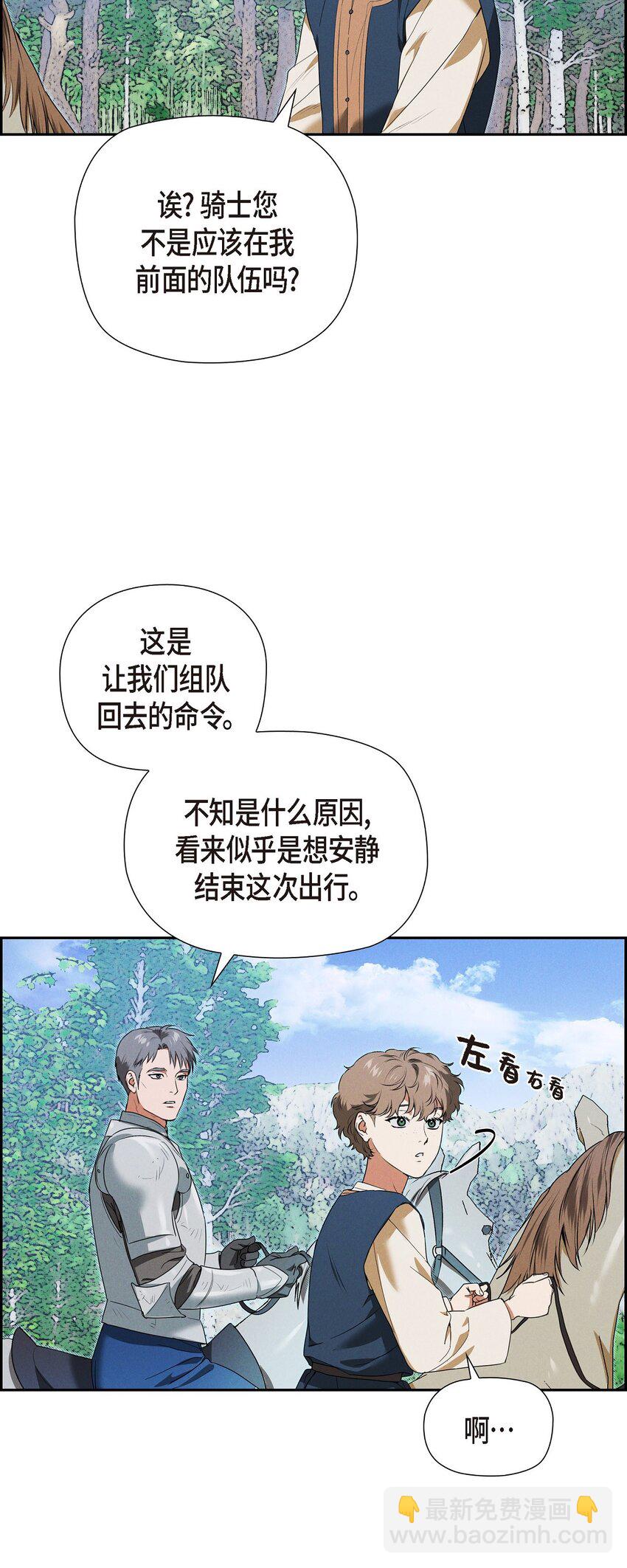 19 阿玛顿15