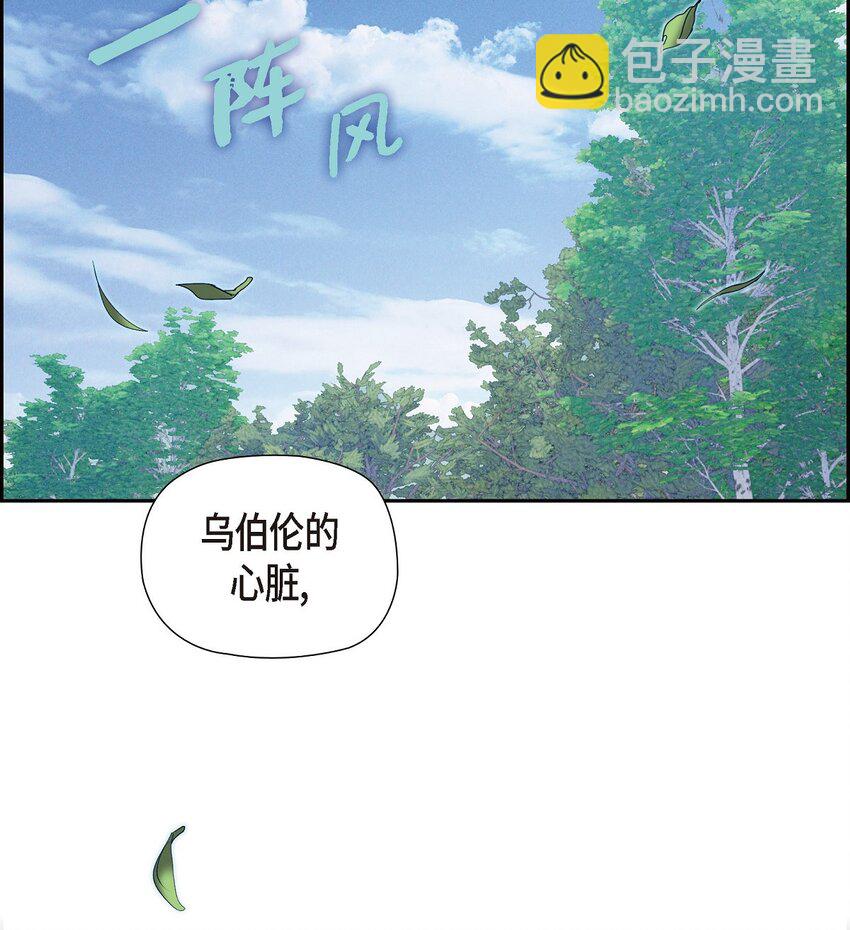 19 阿玛顿8