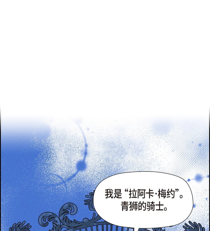 22 青狮骑士-梅约63