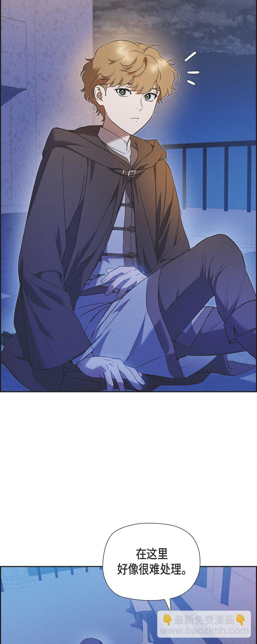 45 青狮骑士团29