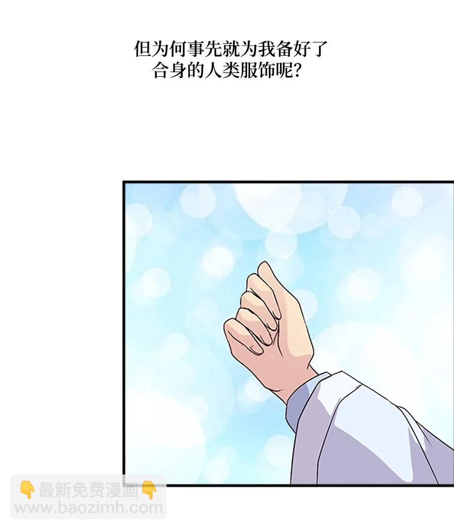 33 准备宴会59