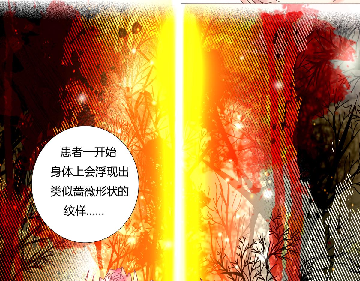 第三章 白色王都四14