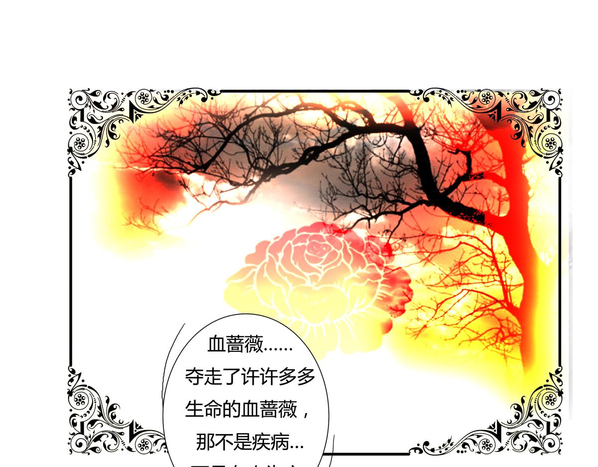 第三章 白色王都十15