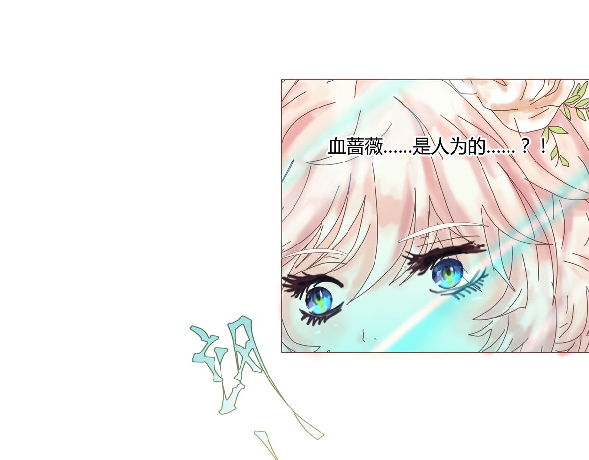 第三章 白色王都十18