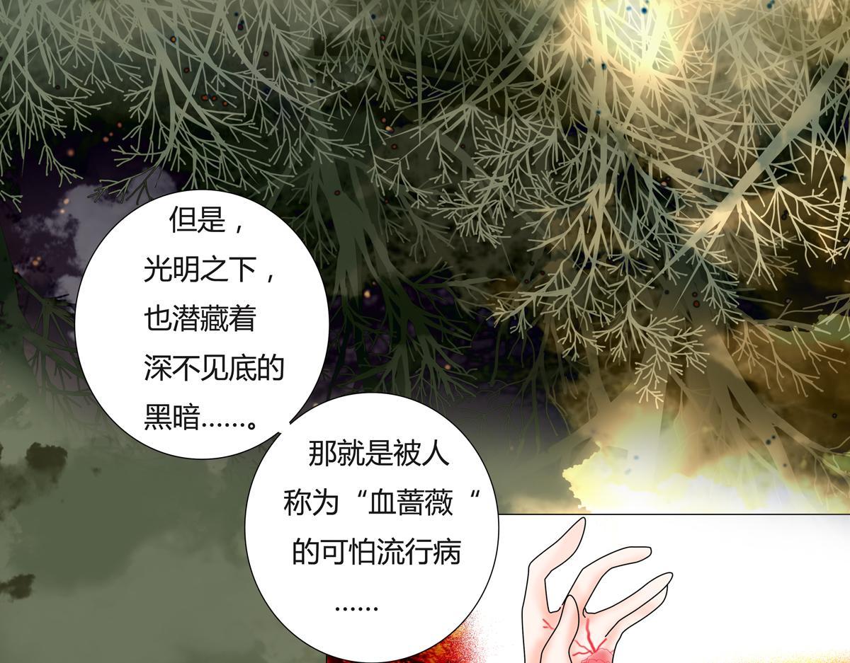 第四章 血蔷薇二1