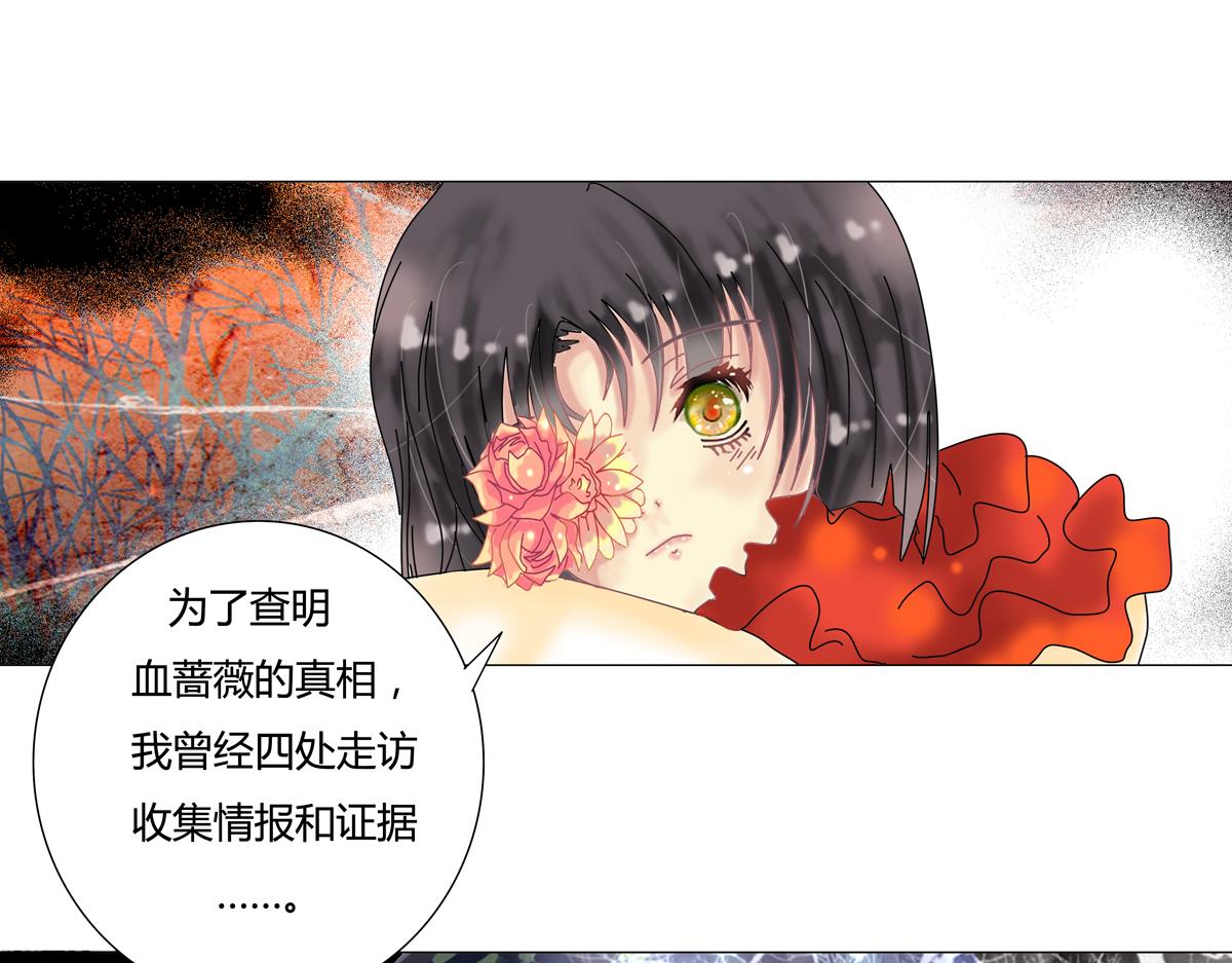 第四章 血蔷薇二10