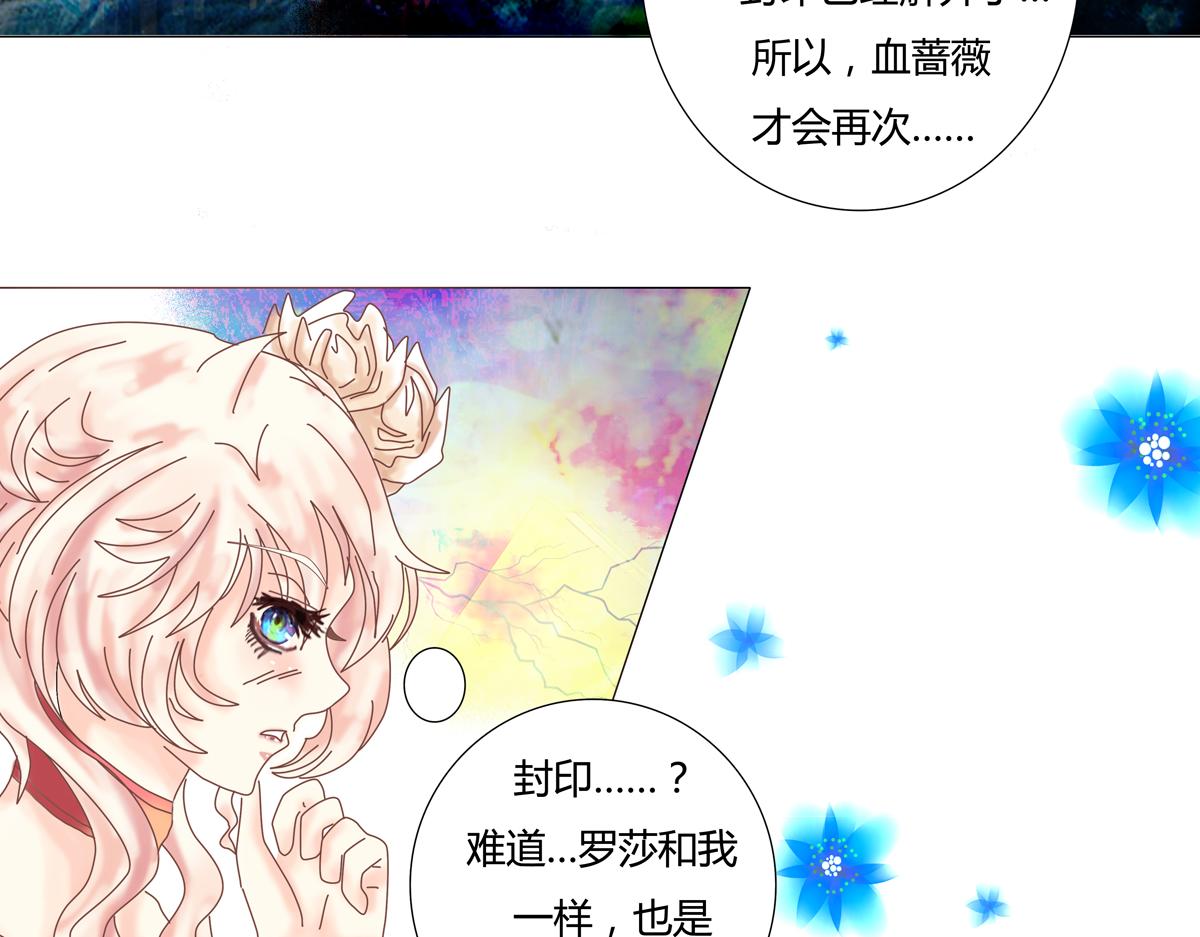第四章 血蔷薇二17