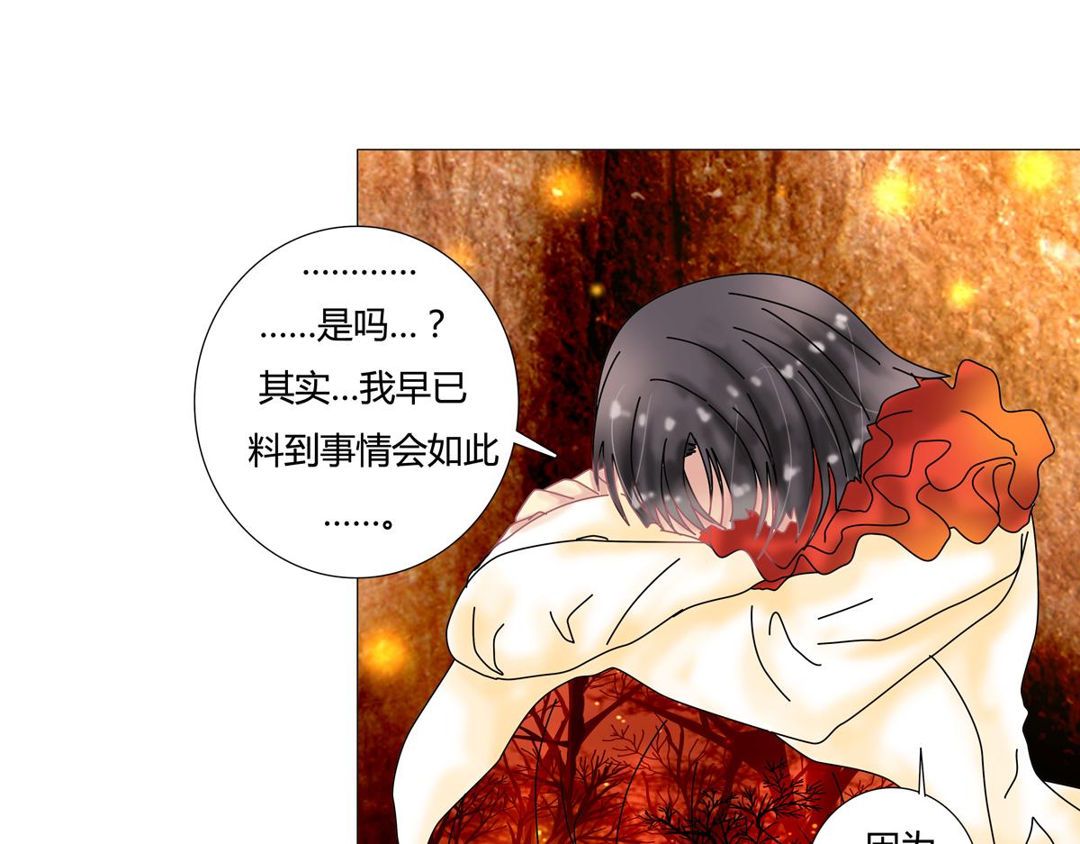 第四章 血蔷薇二6