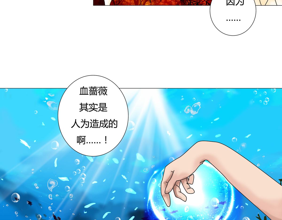 第四章 血蔷薇二7