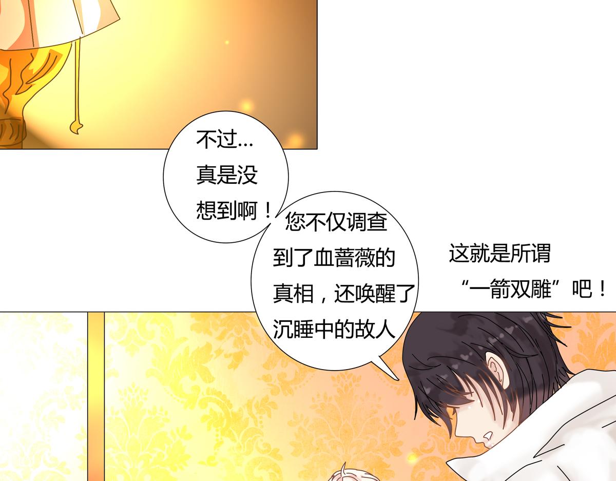 第四章 血蔷薇五13