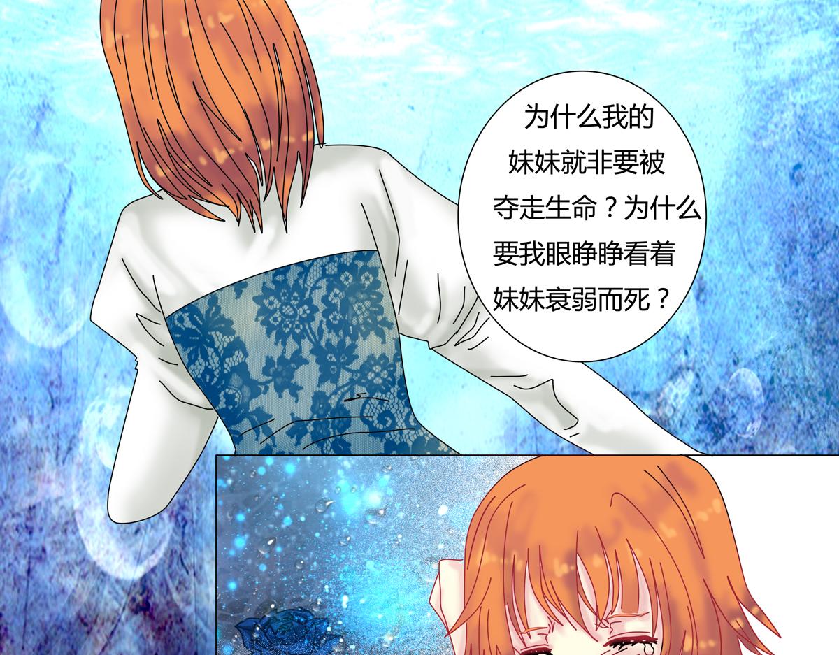 第四章 血蔷薇五17
