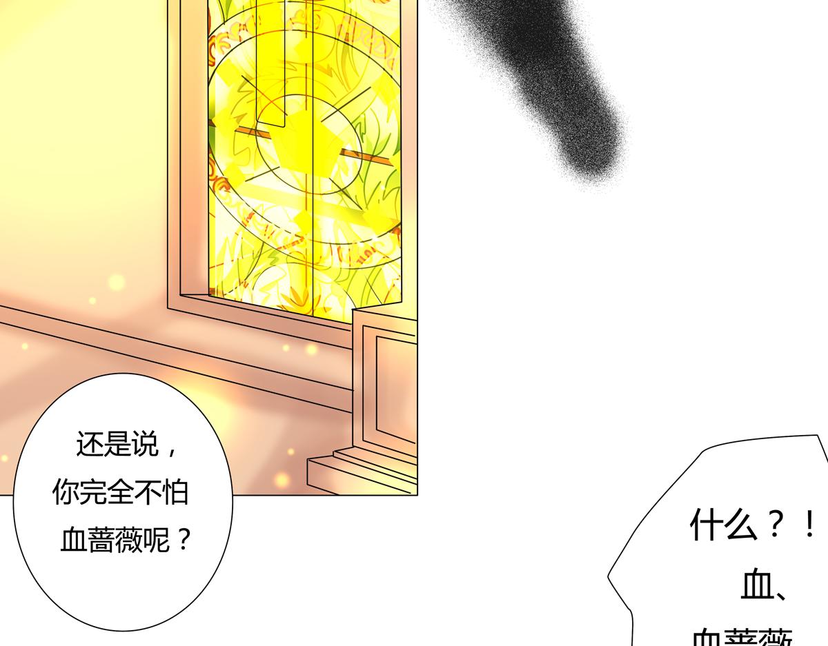 第四章 血蔷薇十四8
