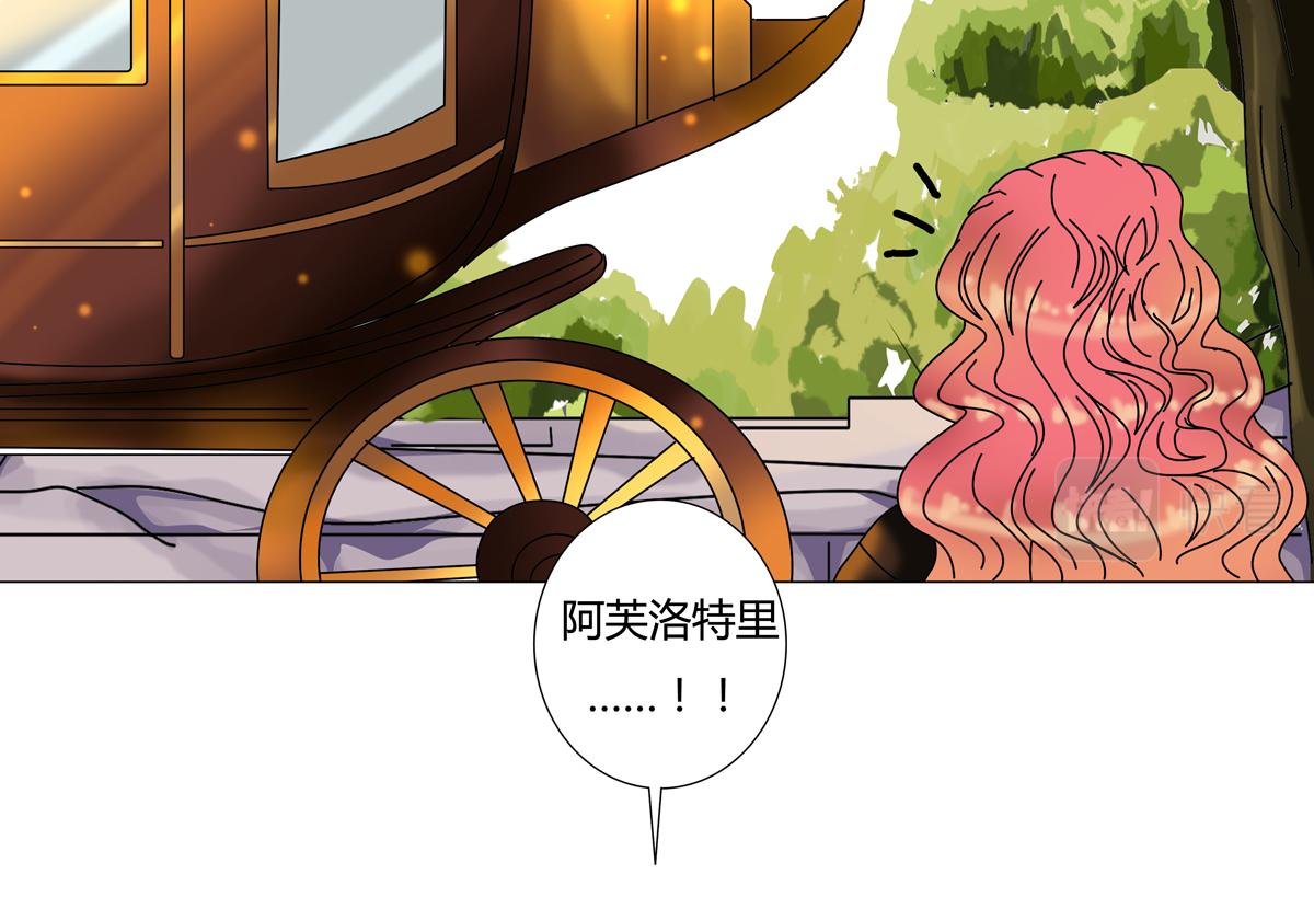 第四章 血蔷薇二十15