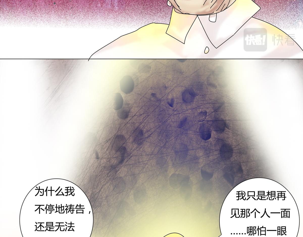 第六章 短暂的归来三8