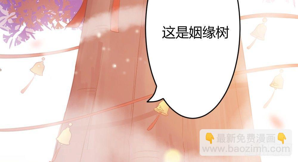 八卦11