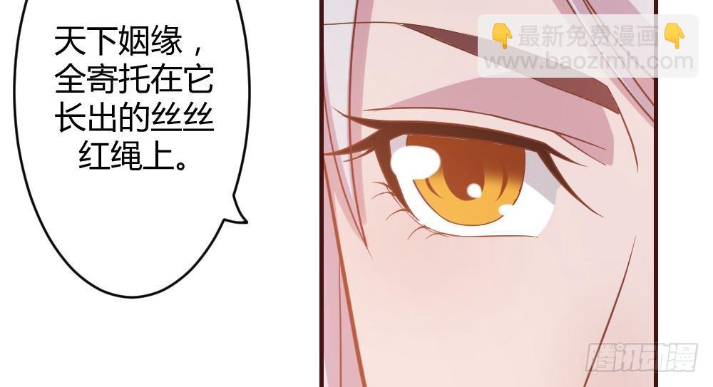 八卦15