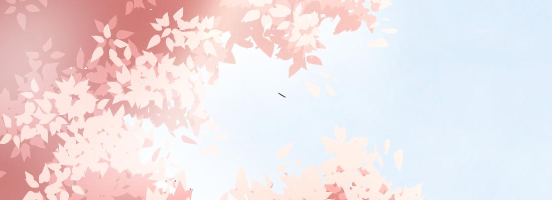 梦中162