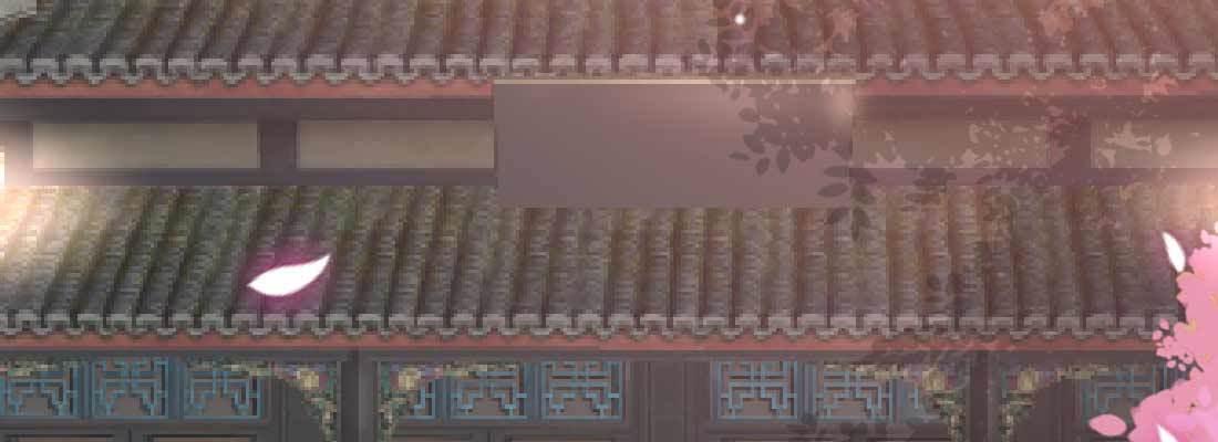 照看3