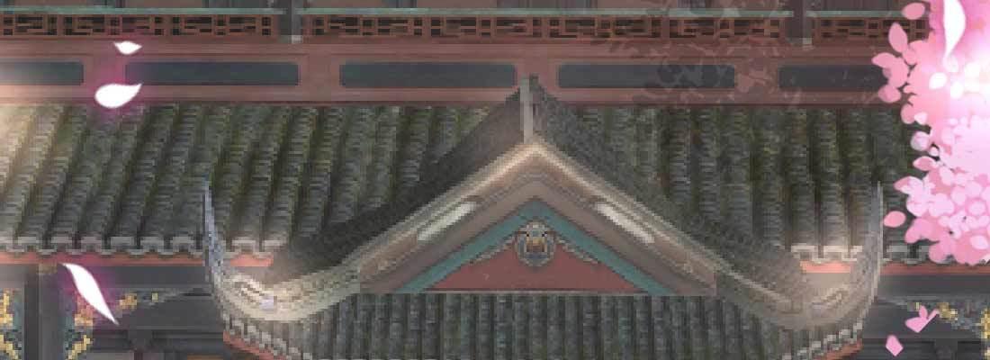 照看4