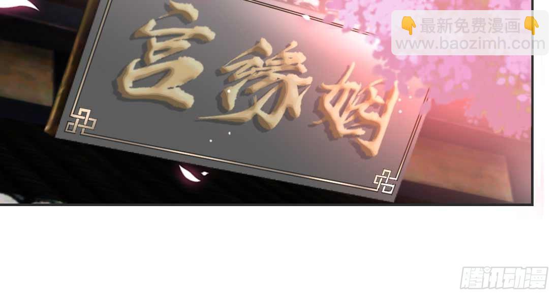 照看48