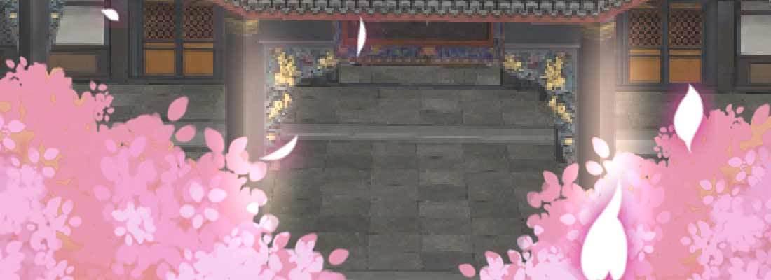 照看5
