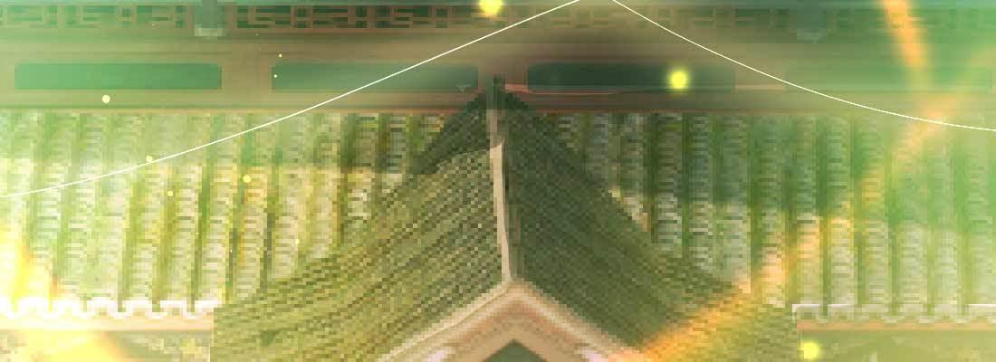 照看61