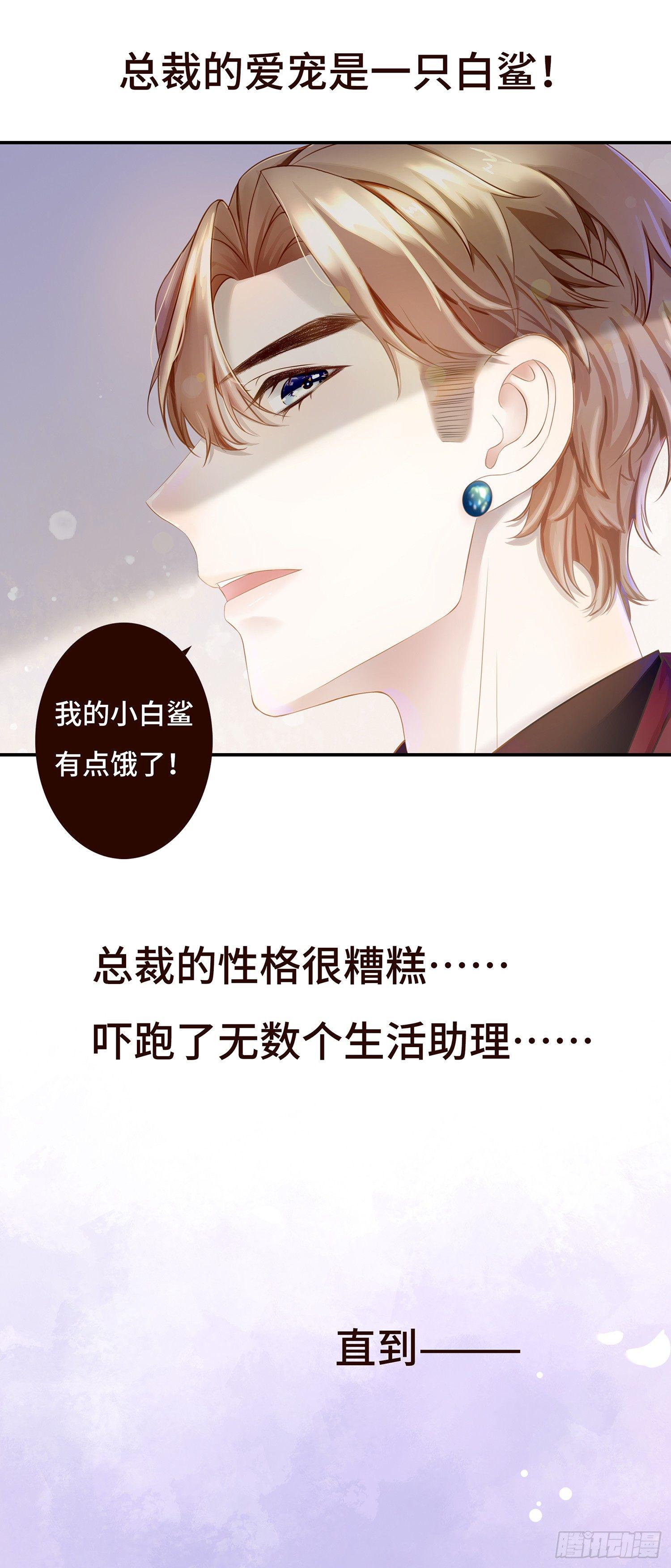 预告A  总裁傲娇3