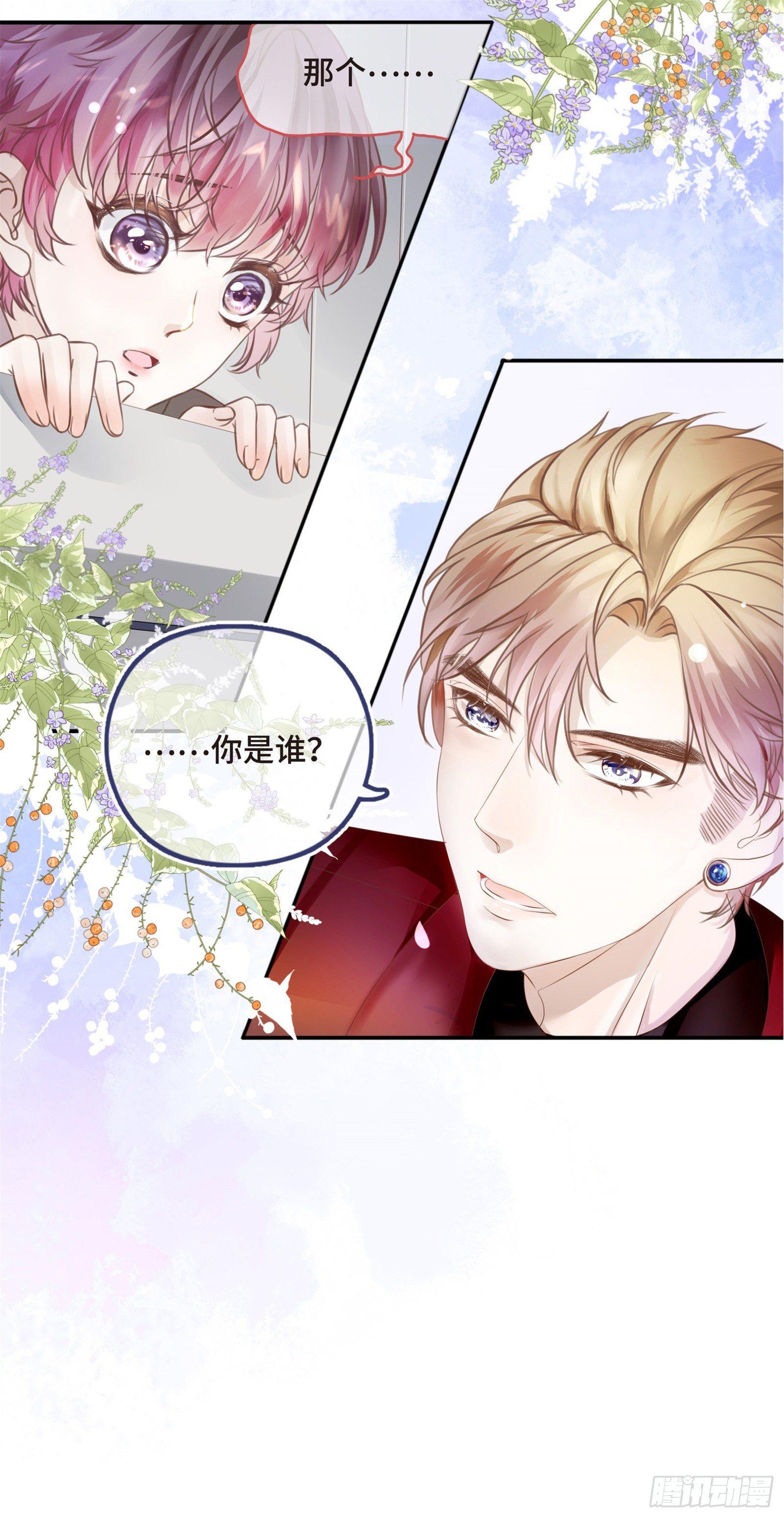初见，我的男主角31