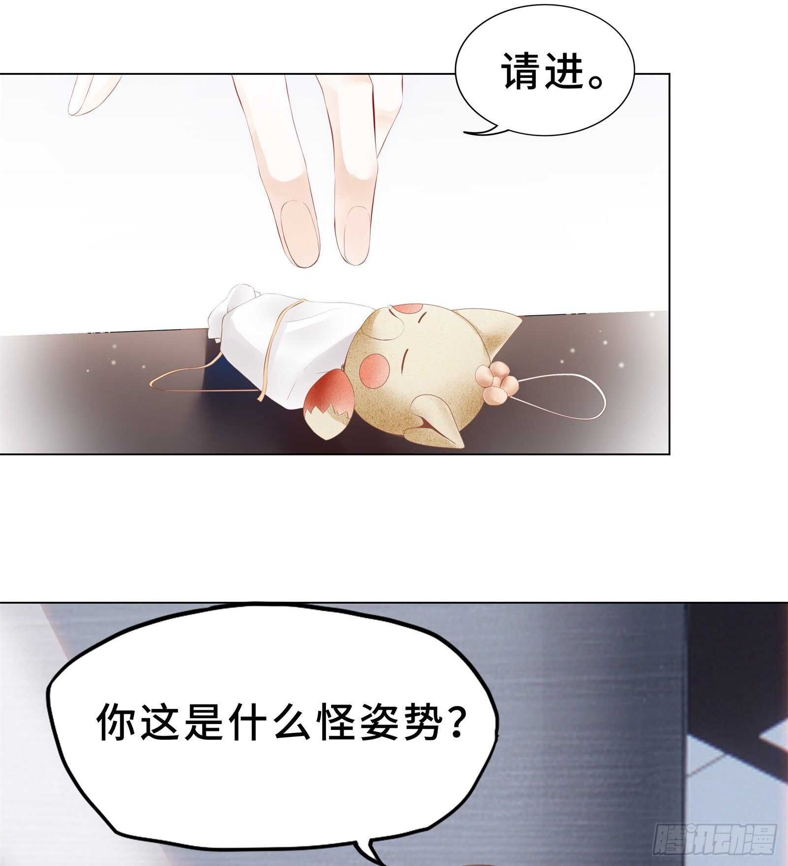 总裁回礼好撩人11