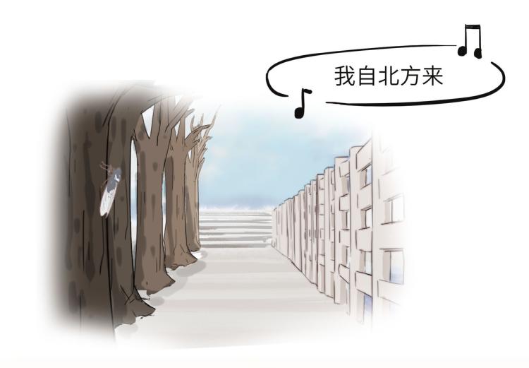 绝口不提将来7