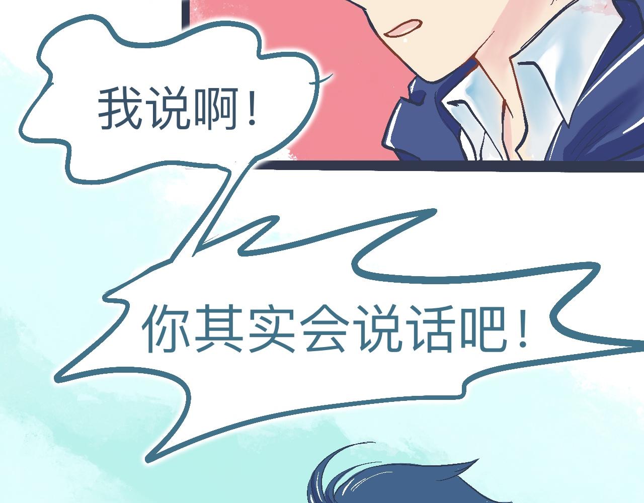 交流的碰撞17