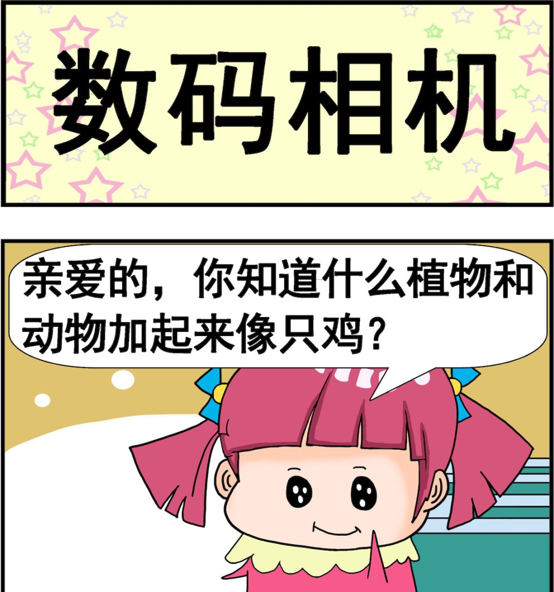 第044话 数码相机0