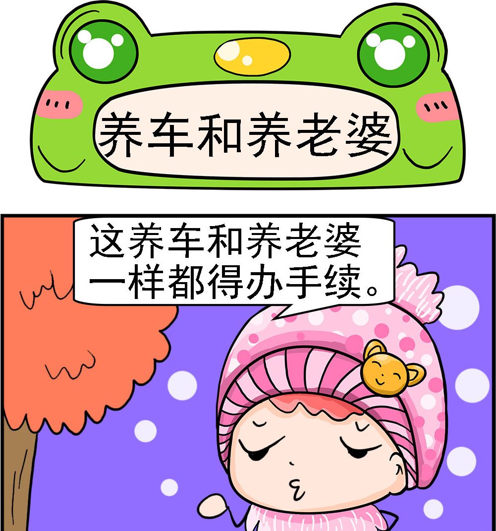 第074话 养车和养老婆0