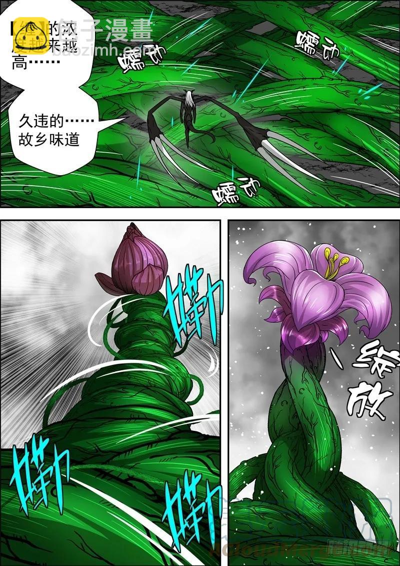 65-故乡8