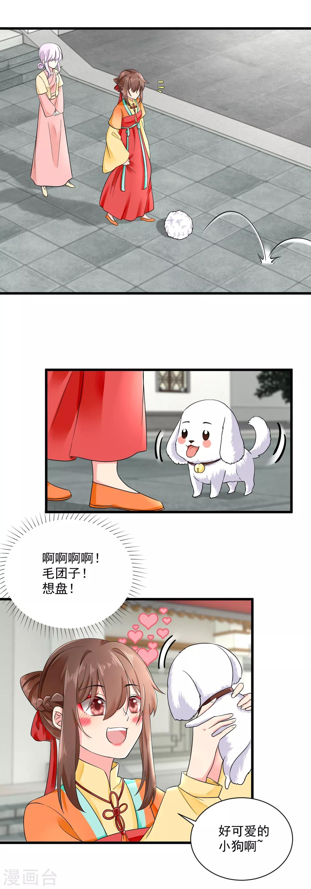 第43话 萌宠出没11
