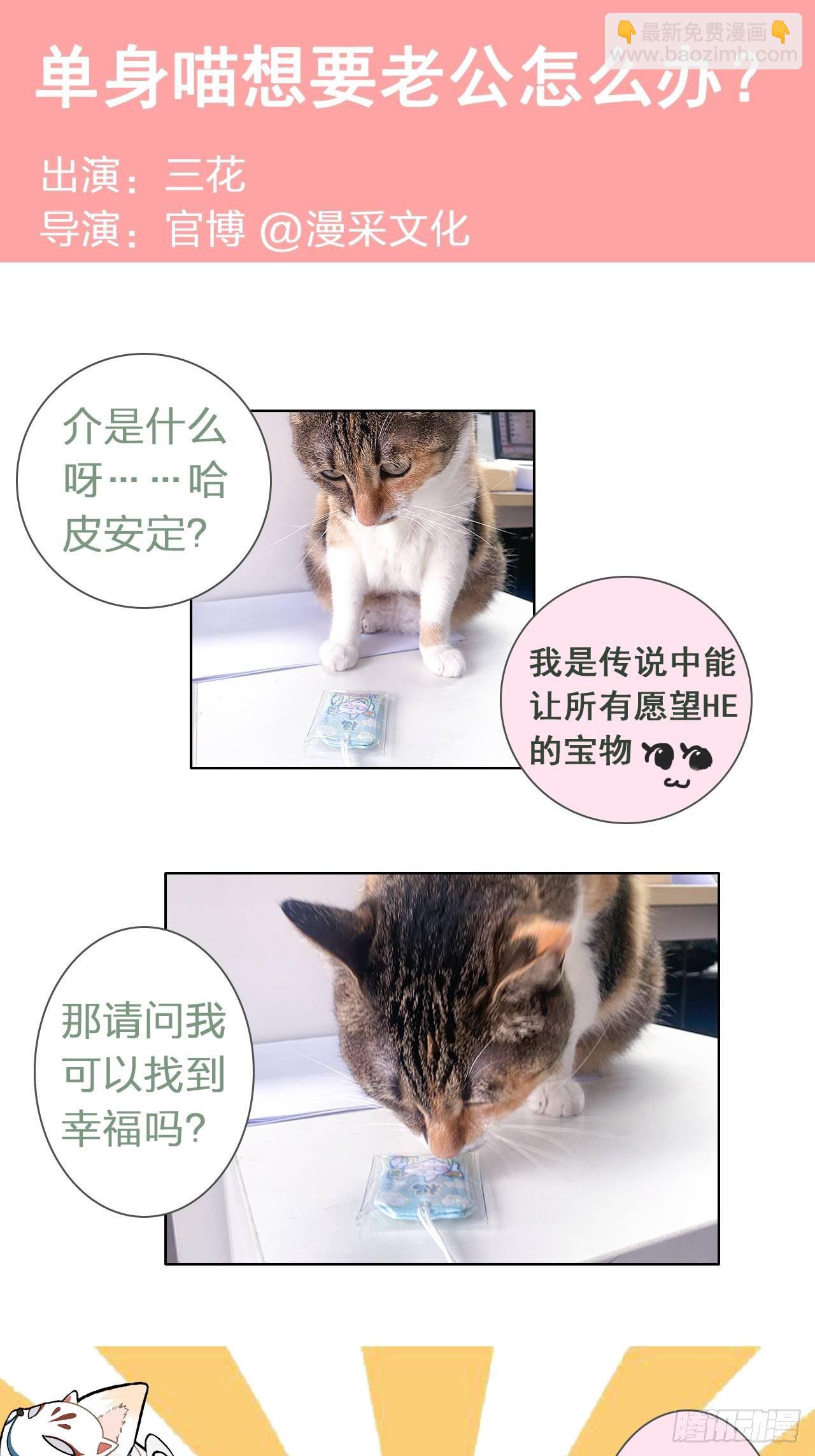 1.被压在下面的梦41