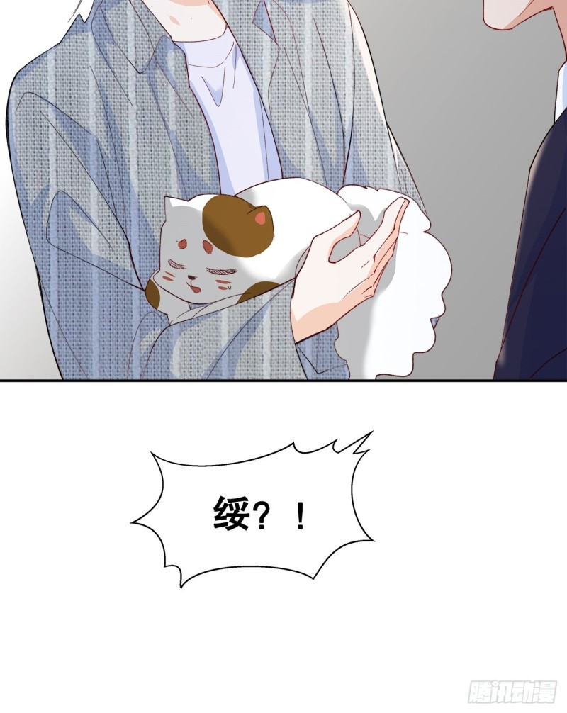 51.失败的离家出走40