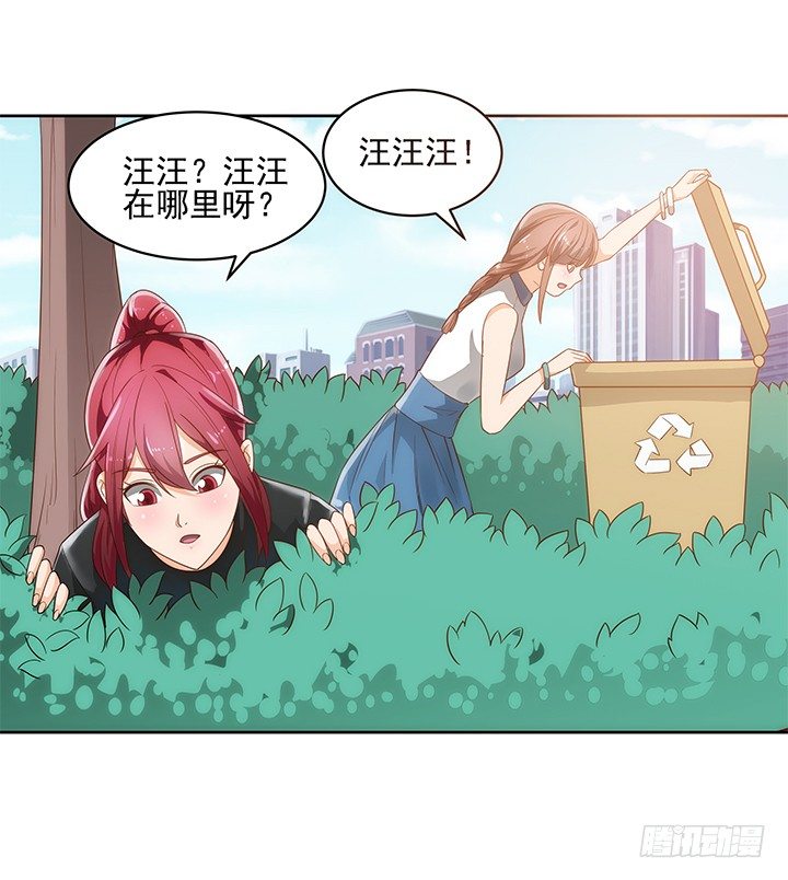 5话 寻猫有道11