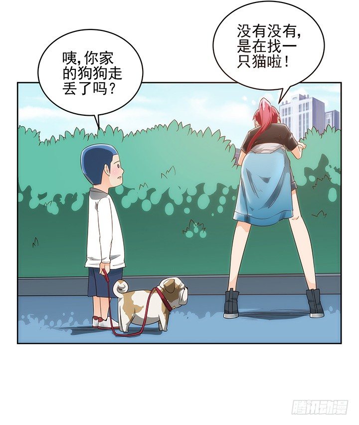 5话 寻猫有道12