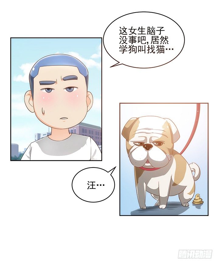 5话 寻猫有道13