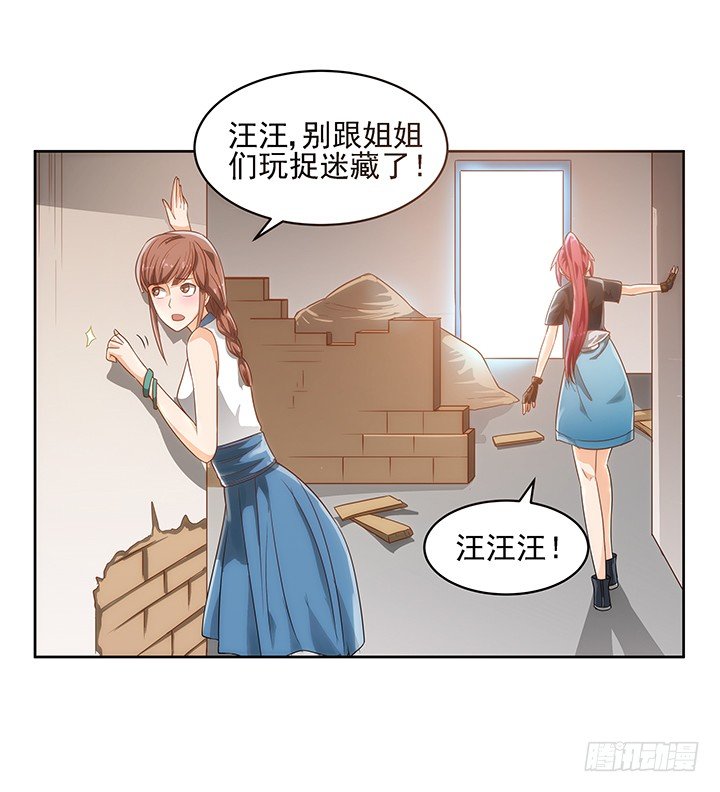 5话 寻猫有道15