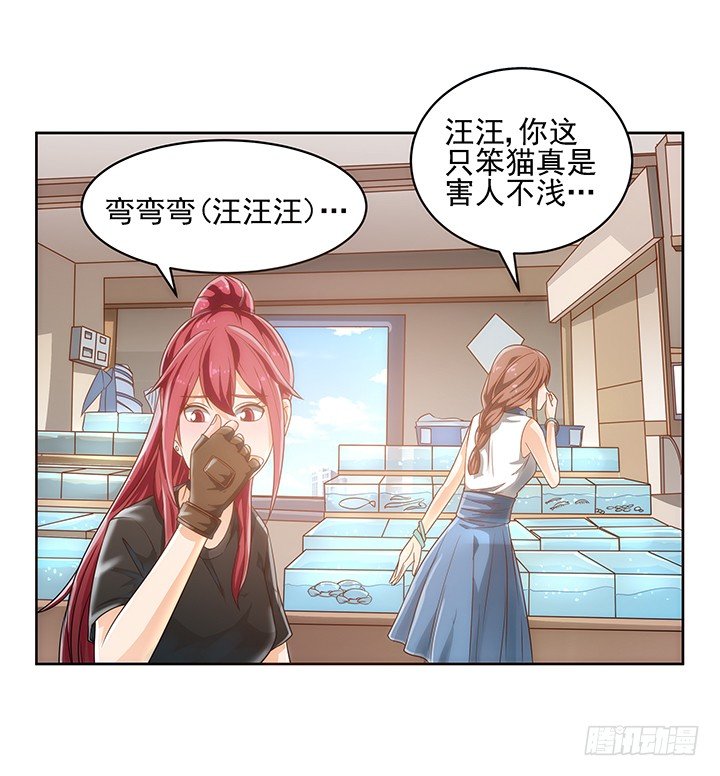 5话 寻猫有道16