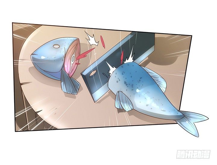 5话 寻猫有道18