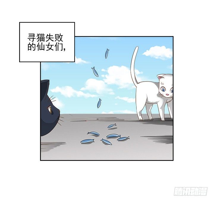5话 寻猫有道22