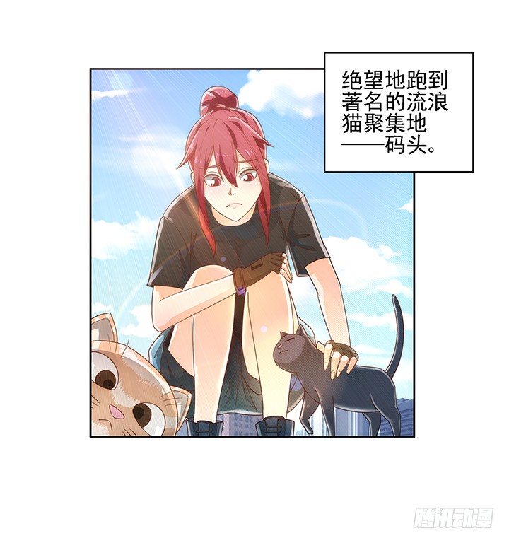 5话 寻猫有道23