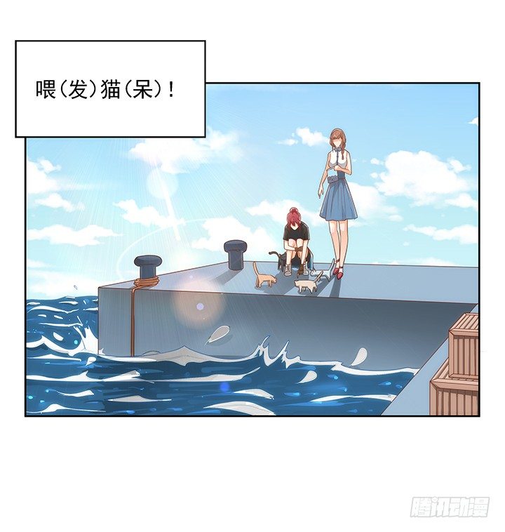 5话 寻猫有道24