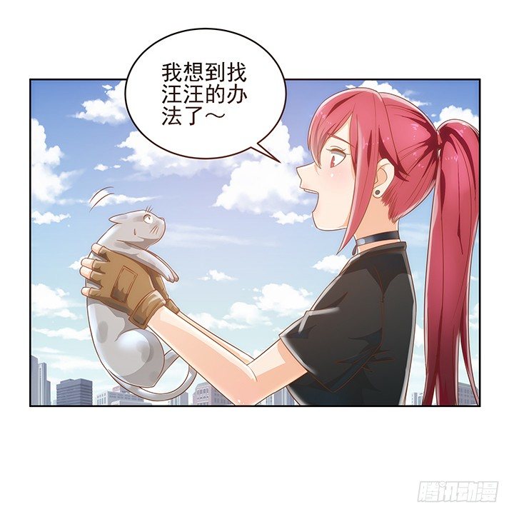 5话 寻猫有道46