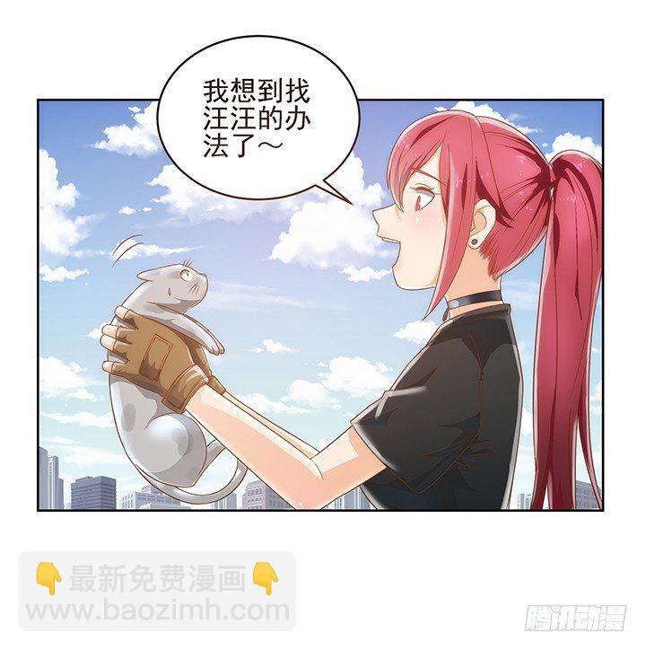 5话 寻猫有道50