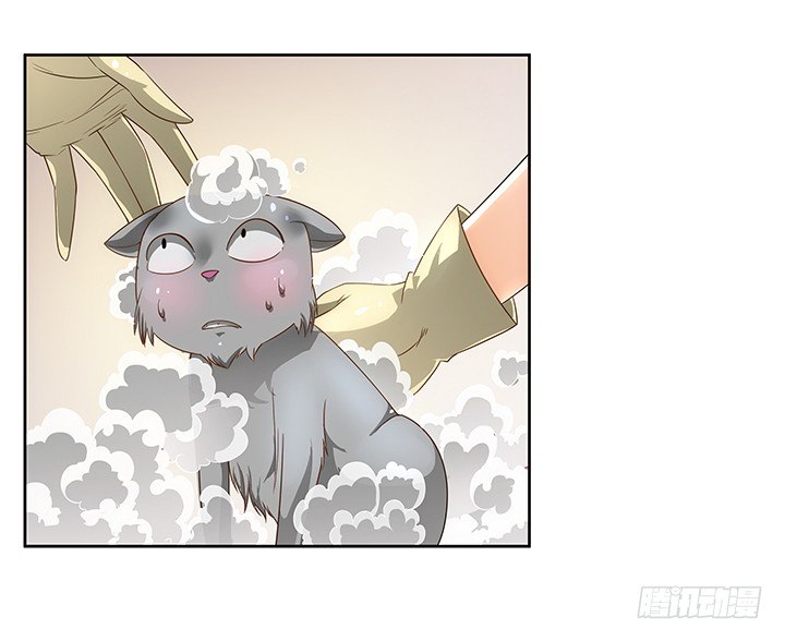 5话 寻猫有道54