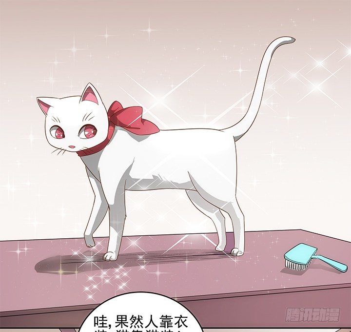 5话 寻猫有道56